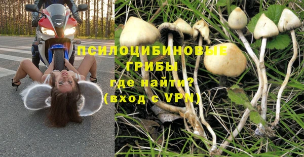 МДПВ Алзамай