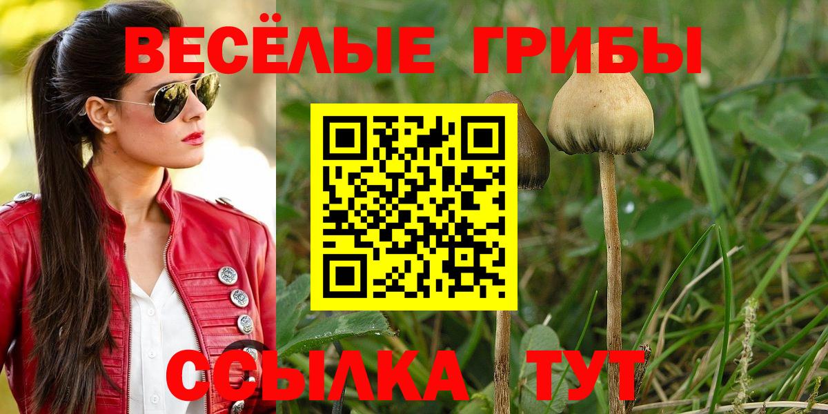 Меф МЯУ МЯУ кристаллы  COCAIN  МДМА  ГАШ  Ижевск  NBOMe  Вход с VPN  Бошки Шишки 