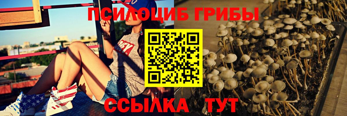 Галлюциногенные грибы Magic Shrooms  Галлюциногенные грибы прущие грибы  Вход с VPN  Ижевск 